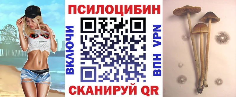 Галлюциногенные грибы GOLDEN TEACHER Купить где Чапаевск